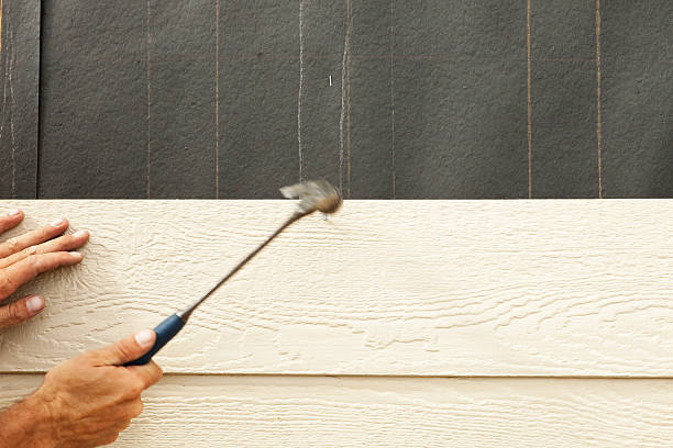 Best Steel Siding Installation  in Union, KY